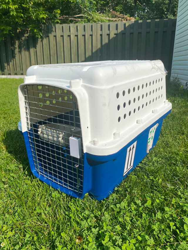 Cage pour chien dans Accessoires  à Longueuil/Rive Sud - Image 3