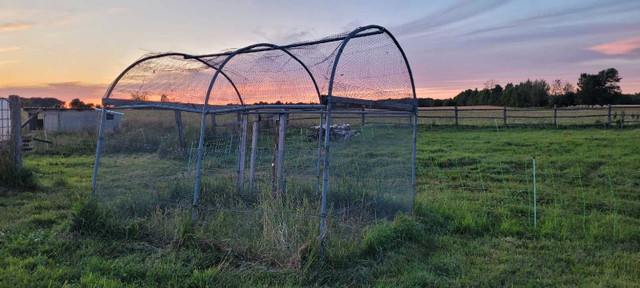  Chicken coop / run in Livestock in Kitchener / Waterloo