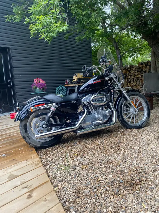 2007 883 Harley Davidson Sportster in Street, Cruisers & Choppers in Regina - Image 2