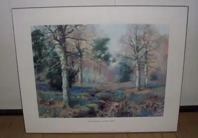 Walter Boodle - Bluebell wood (Art) - BRAMPTON, View more