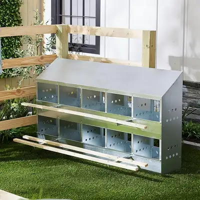 Brand New Poultry 10-Hole Nesting Box, View more