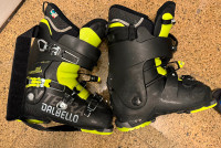 Ski boots, Dalbello