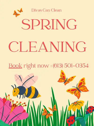 (613) 501-0354 SPRING CLEANING , View more