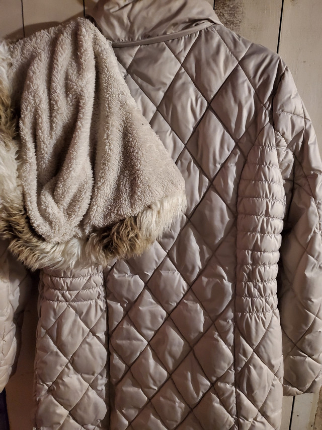 Winter coats  in Women's - Tops & Outerwear in Windsor Region