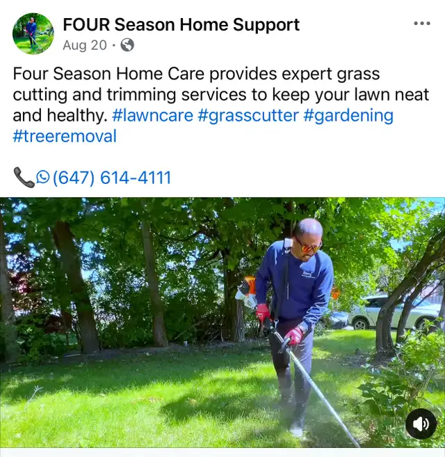 Grass cutting62864357483394123