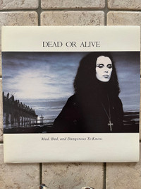 Disque vinyle Dead or Alive
