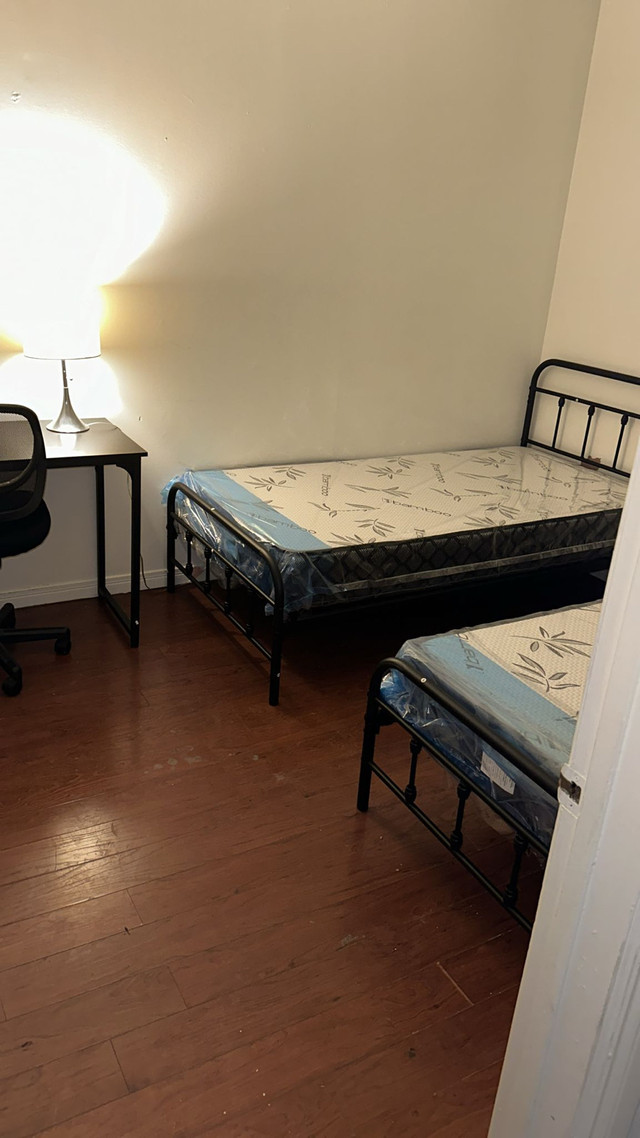 student shared rental in Room Rentals & Roommates in Windsor Region - Image 2