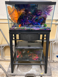 Aquariums/fish tank with stand
