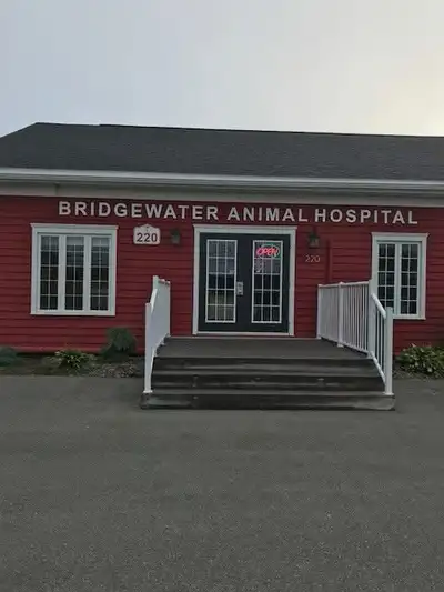 About the Role Bridgewater/Seaside/Cole Ford Animal Hospitals are accepting applications for a long...
