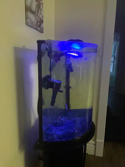 Fish tank, pump, etc. Elora-$125, View more