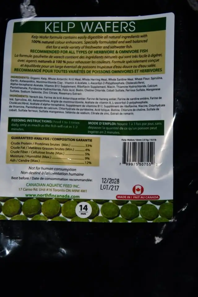 North fin kelp wafers in Fish for Rehoming in Moncton - Image 4