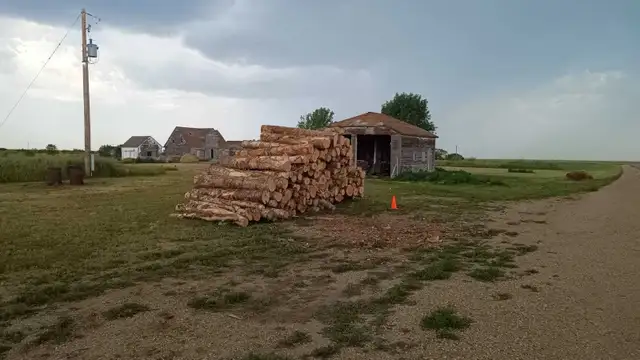 Truckload Firewood Delivery Across Saskatchewan  in Plants, Fertilizer & Soil in Regina - Image 3