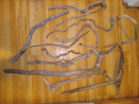 Driftwood pieces