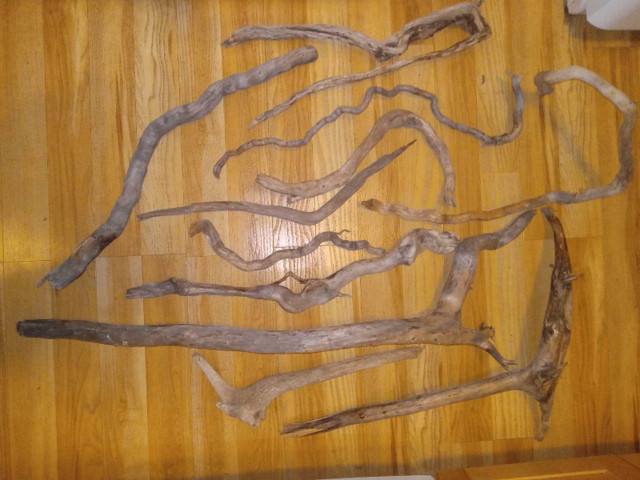 Driftwood pieces in Outdoor Décor in Red Deer