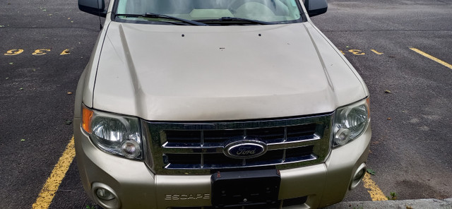 Escape/Aerio in Cars & Trucks in Gatineau - Image 3