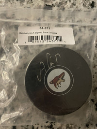 Alex Galchenyuk signed puck 