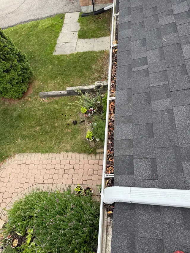 Professional Gutter Cleaning