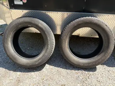 Two tires, in Excellent condition, with very little use. Were on my truck for less than 10,000 Kms....