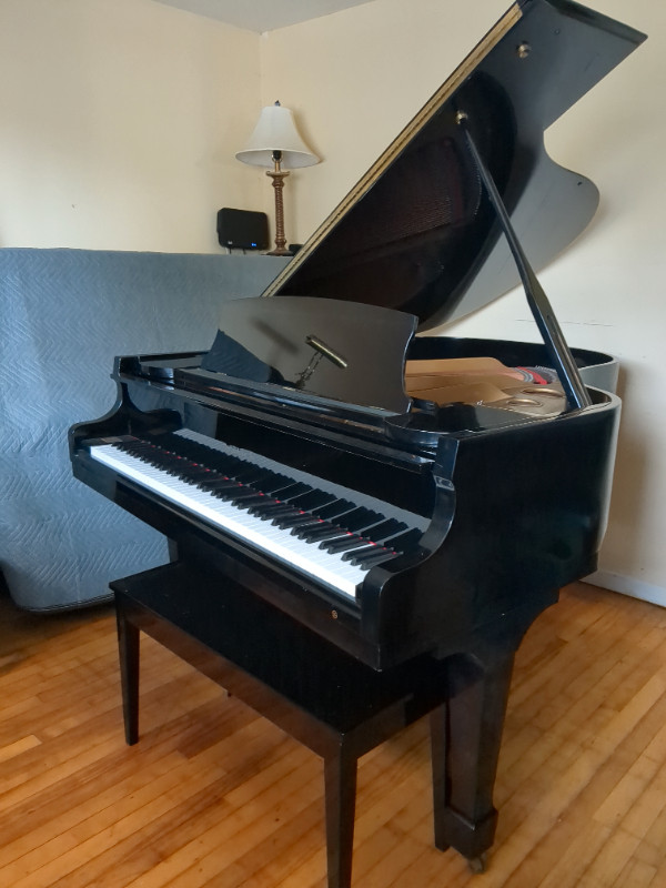 Baby Grand Samick Piano For Sale (Can Deliver) in Pianos & Keyboards in Moncton - Image 2