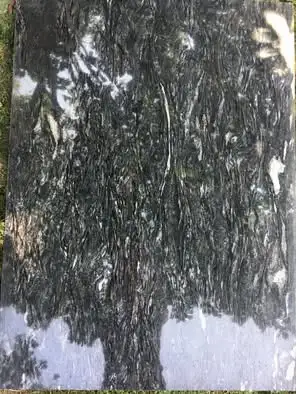 Premium Granite countertop slab-Black Forest Granite, View more