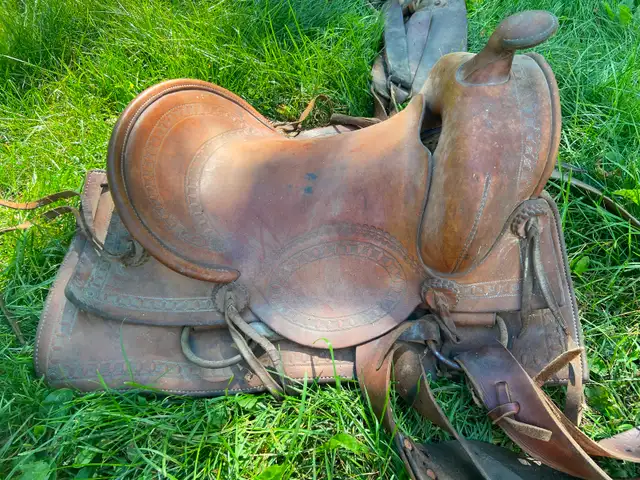 English and Western horse saddles