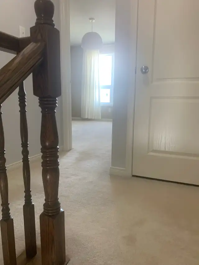 Room for rent in Room Rentals & Roommates in Ottawa - Image 4
