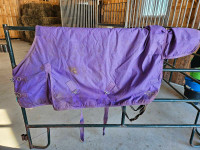 Pony blanket and sheet
