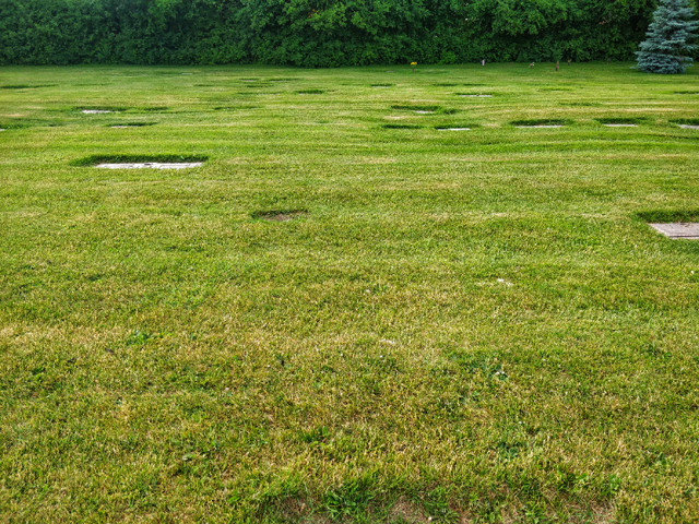 Burial Plots (3 adjacent) dans Terrains à vendre  à Ville de Montréal - Image 2