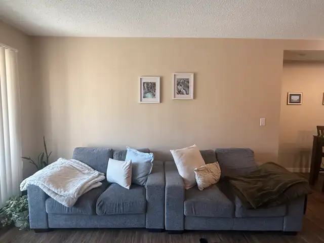 couches for sale628643649427231223