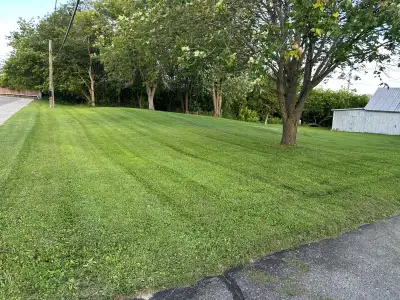  Fall Yard Cleanups • Brush Removal • Rock Bed Installation , View more