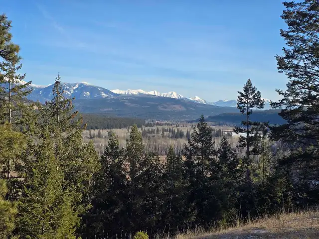 281-Acre Riverfront Property | Mountain Views | Kootenay in Land for Sale in Cranbrook - Image 9