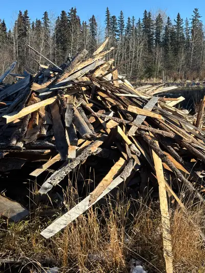 Sawmill trimmings. Cut and load yourself. All you can fit on pickup $20. Call 780 402 9003