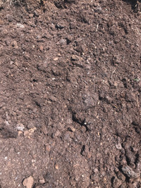 Garden/ flower compost