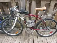 Bike mechanic 