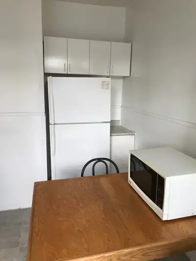 This is just renovated 31/2 located in Rosemont, Montreal h1y 2e1. 5 minutes bus67/467 to metro gree...