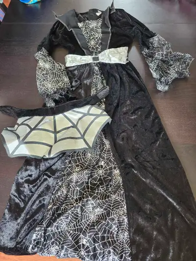 Kids size 12-14 costume. Pick up in Kitchener, $15, View more