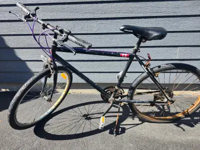 Velo CCM 28 pouces Carbo-lite LBT Frame bike, View more
