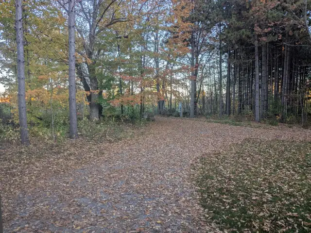 Short Term Cottage Rental in Ontario in Canada - Image 9