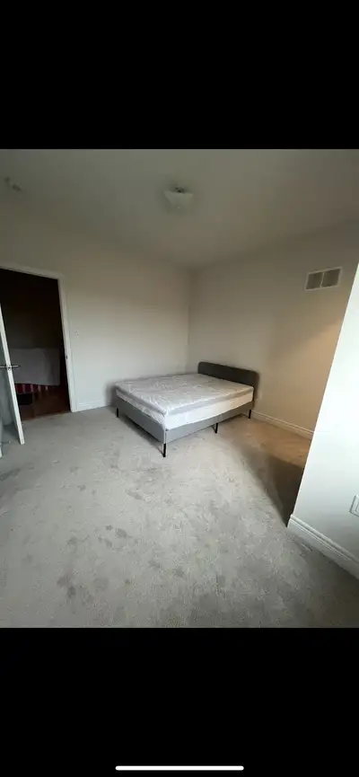 One bedroom available for rent in the prestigious Kleinburg/Vaughan area. Bathroom is shared with th...