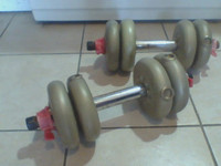 20 lbs of Weights plus Hardware and Bars  $22