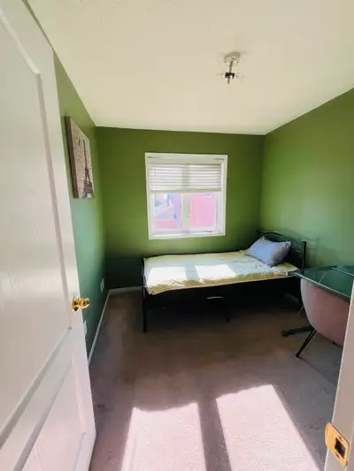 Only for female Close to York University Vaughan mall Cineplex Wonderland Plazas