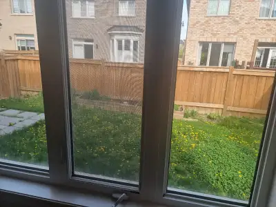 3 Bedrooms House Available July 1st