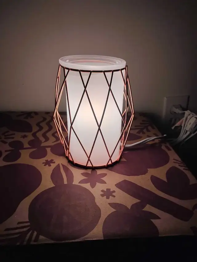 Wire you blushing? Warmer in Home Décor & Accents in Trenton - Image 2