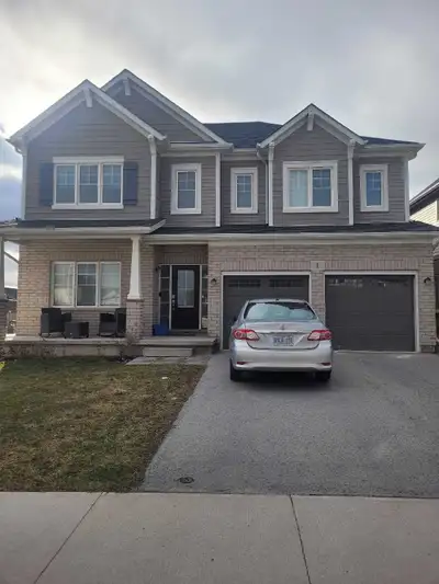 Newly constructed one large bedroom modern kitchen ,full bathroom & living area with separate entran...