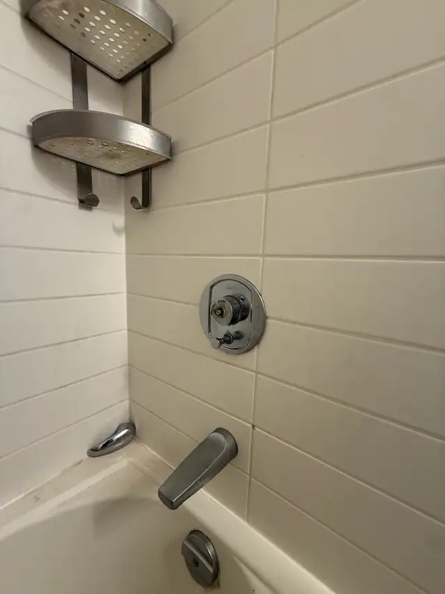 Plumber Licensed 447398198788771842