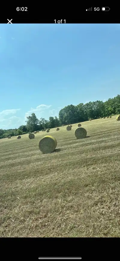 1st cut Round Bales, View more