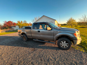 2011 Ford E 150