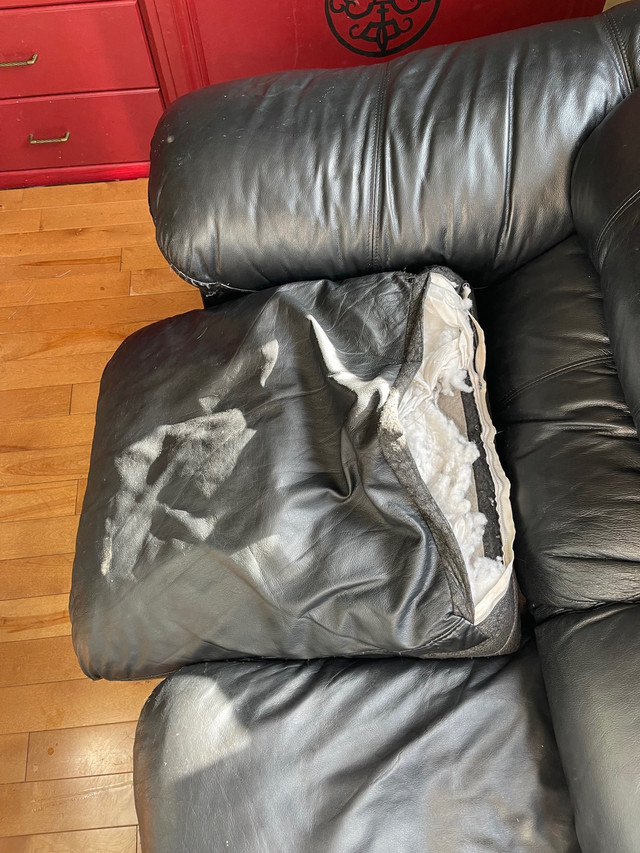 Free couch  in Free Stuff in Edmonton - Image 2
