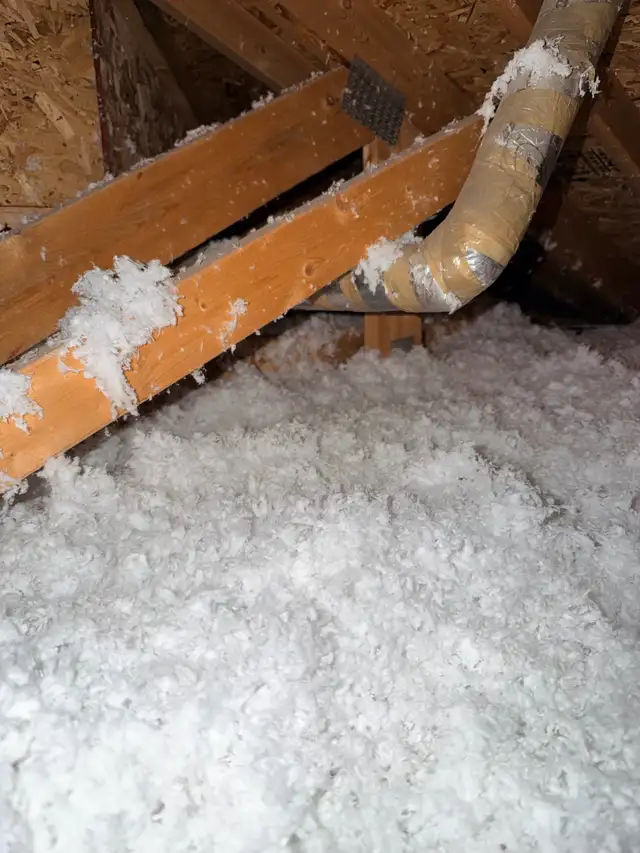 Attic Insulation577858272798986245