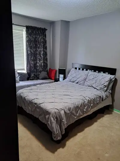 Looking for a professional working muslim male roomate. Room for rent in a spacious and clean Brampt...